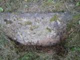 image of grave number 576694